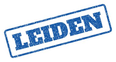 Leiden pencere boyutu