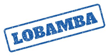 Lobamba pencere boyutu