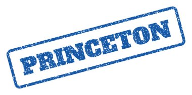 Princeton pencere boyutu