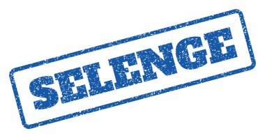 Selenge pencere boyutu