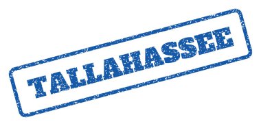 Tallahassee pencere boyutu