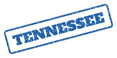 Tennessee pencere boyutu