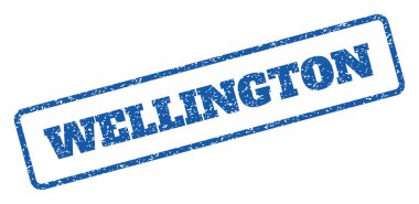 Wellington pencere boyutu