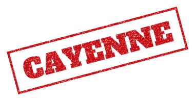 Cayenne pencere boyutu