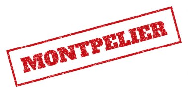 Montpelier pencere boyutu