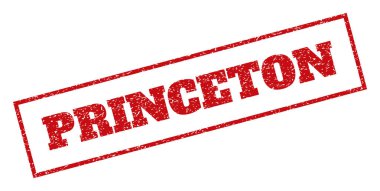 Princeton pencere boyutu