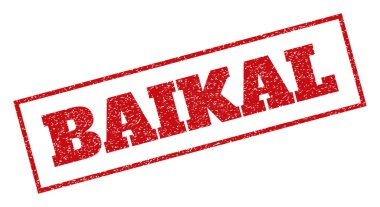 Baykal pencere boyutu