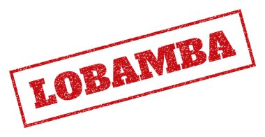 Lobamba pencere boyutu