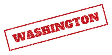Washington pencere boyutu
