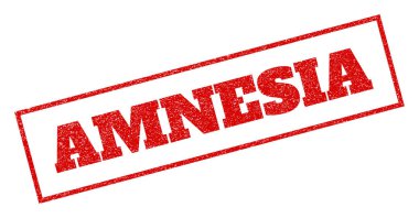 Amnezi pencere boyutu