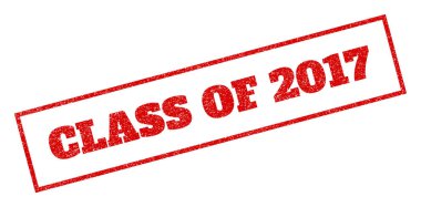 2017 lastik damgası sınıfı