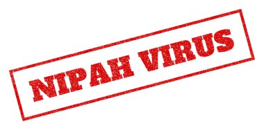 Nipah virüs pencere boyutu