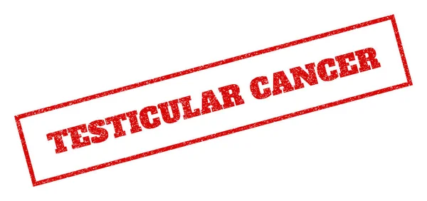 TESTICUM CANCER — стоковый вектор