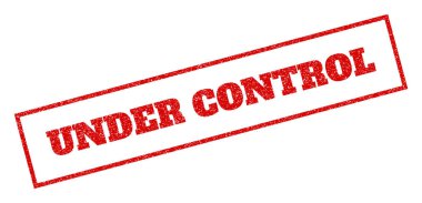 Denetim pencere boyutu altında