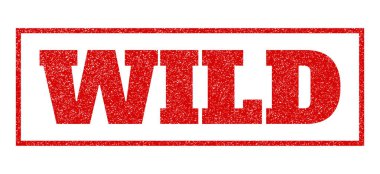 Vahşi pencere boyutu