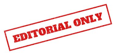 İçerik tek pencere boyutu