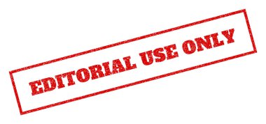 Editoryal kullanım tek pencere boyutu