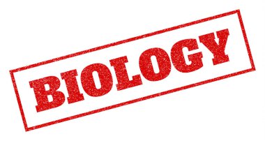 Biyoloji pencere boyutu