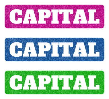 Sermaye lastik pullar