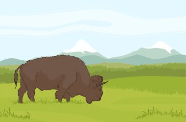 Bir buffalo doğal Dağları arka plan üzerinde. Manzara