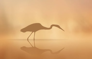 Heron siste sabah göle vektör.