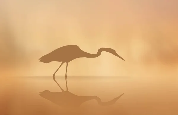 Vektor Heron v mlze v jezeře ráno. — Stockový vektor