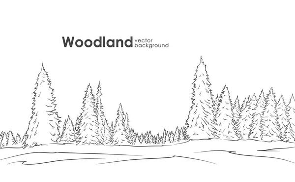 Illustration vectorielle : Paysage forestier dessiné à la main. Croquis avec forêt de pins . — Image vectorielle