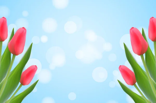 Modèle de printemps avec tulipes sur fond bokeh flou . — Image vectorielle