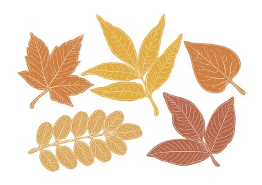 Sonbahar yaprakları elle çizilmiş ayarla