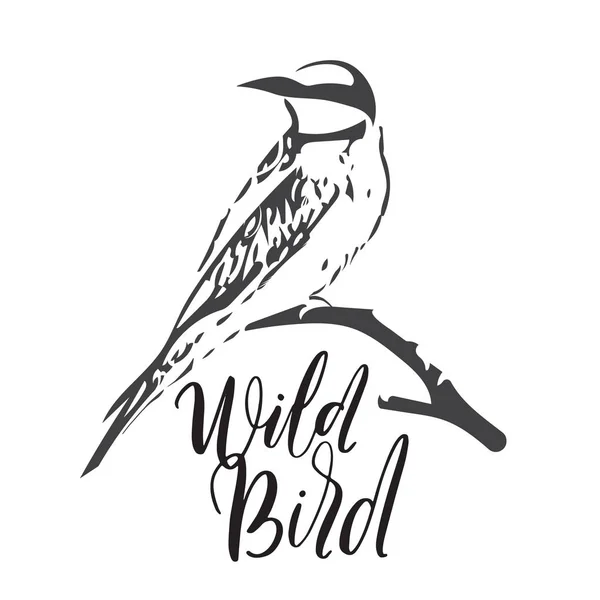 Vector illustration of Wild Bird. Bee-Eater on dry branch — Stock Vector