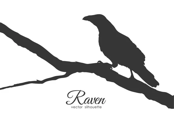 Silueta de cuervo sentado en una rama seca . — Vector de stock