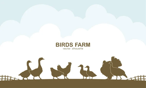 Design template of background with farm birds and fence. — Stock Vector