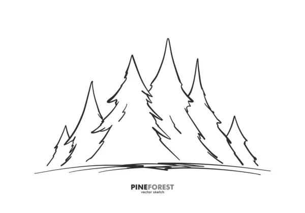 Vector Hand drawn sketch pine forest. Christmas banner or poster template. Stock Vector