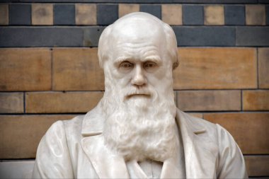Charles Darwin 'in heykeli