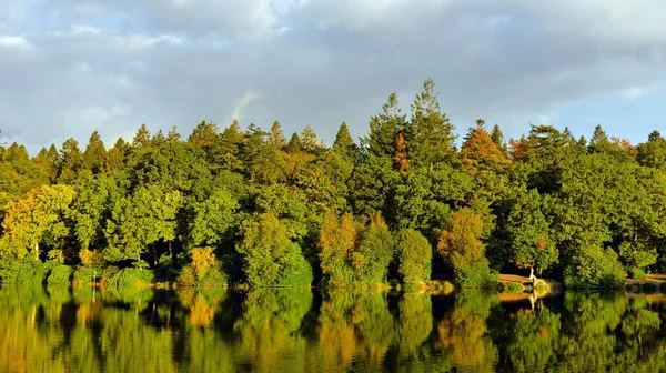 Nad jeziorem lesie kolory jesieni — Zdjęcie stockowe
