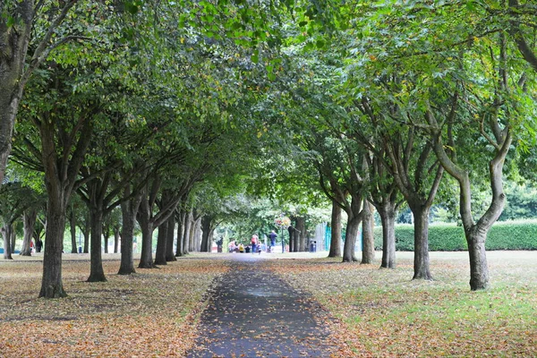 Escena del parque de otoño — Foto de Stock