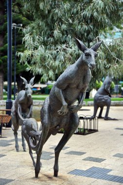 Perth, Avustralya - 30 Mayıs 2017: kanguru heykeller tarafından Charlie Smith ve Joan Walsh-Smith Stirling bahçelerde şehir merkezinde görünümünü.