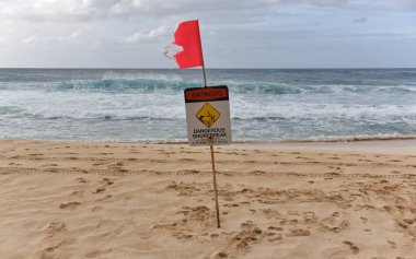 Deniz kıyısı tehlikeli işareti ve bayrak ile görünümünü