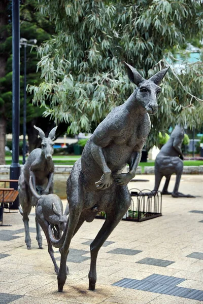 Perth Australia Mayo 2017 Vista Las Esculturas Canguros Charlie Smith —  Fotos de Stock