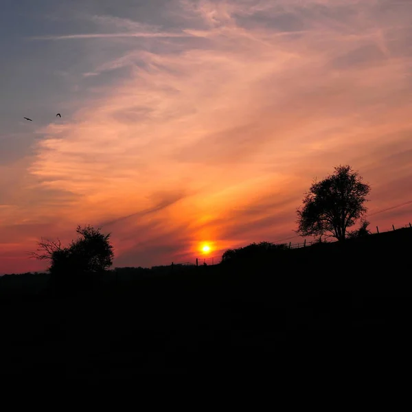 Majestuosa Puesta Sol Naranja Campo Con Árboles Cielo Nublado Aves — Foto de Stock