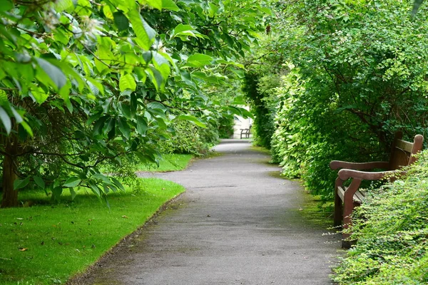 Pohled Park Trávou Zelené Stromy Prázdné Lavice — Stock fotografie