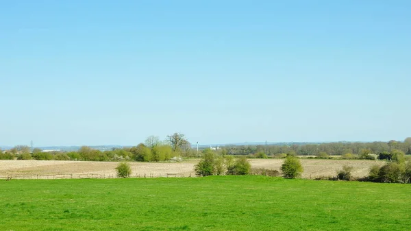 Campo Verde Com Árvores Céu Azul Fundo — Fotografia de Stock