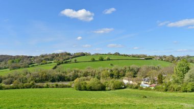 Ağaçlar ve evlerin zemin üzerine parlak yeşil alan