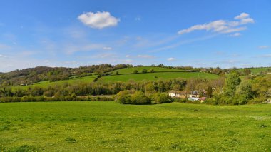 Ağaçlar ve evlerin zemin üzerine parlak yeşil alan