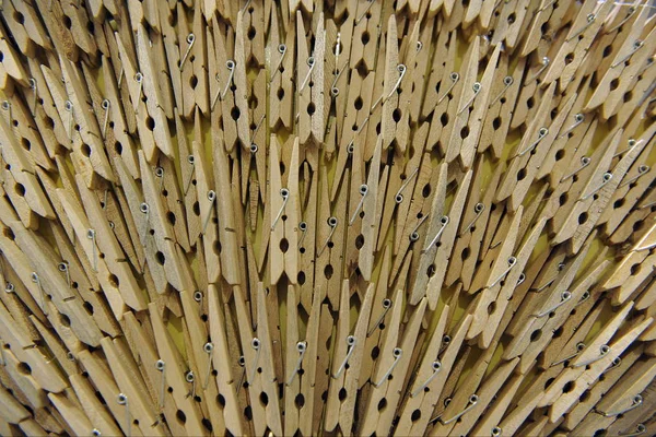 Composition with wooden beige clothes pegs