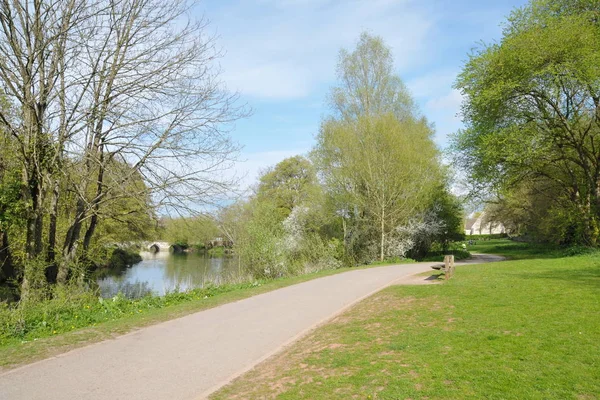 Blick Auf Den Leeren Fußweg Der Durch Den Frühlingspark Führt — Stockfoto