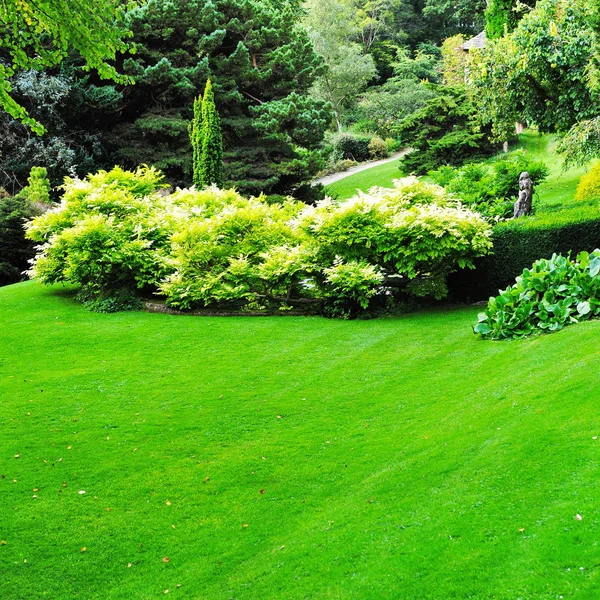Luminoso Prado Verde Con Arbustos Árboles —  Fotos de Stock