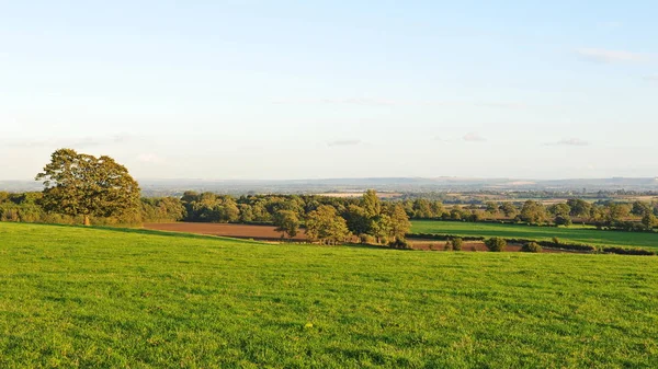 Onschuldige Heldere Grasland Tegen Blauwe Hemel — Stockfoto