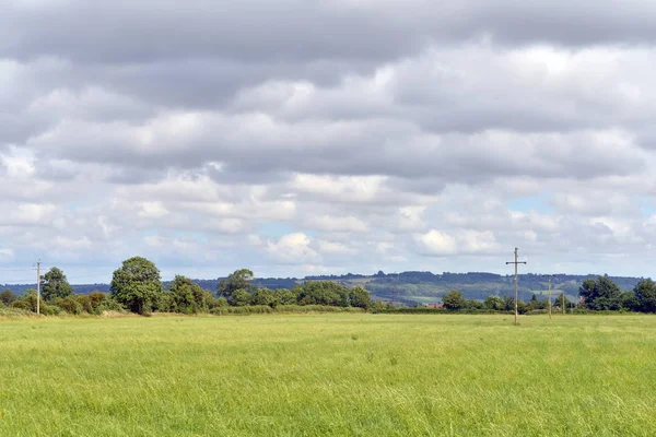 Campo Verde Brilhante Com Árvores Céu Cinza Nublado Fundo — Fotografia de Stock