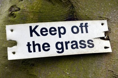 Yıpranmış yeşil ahşap arka plan çim tabelada kapalı tutmak